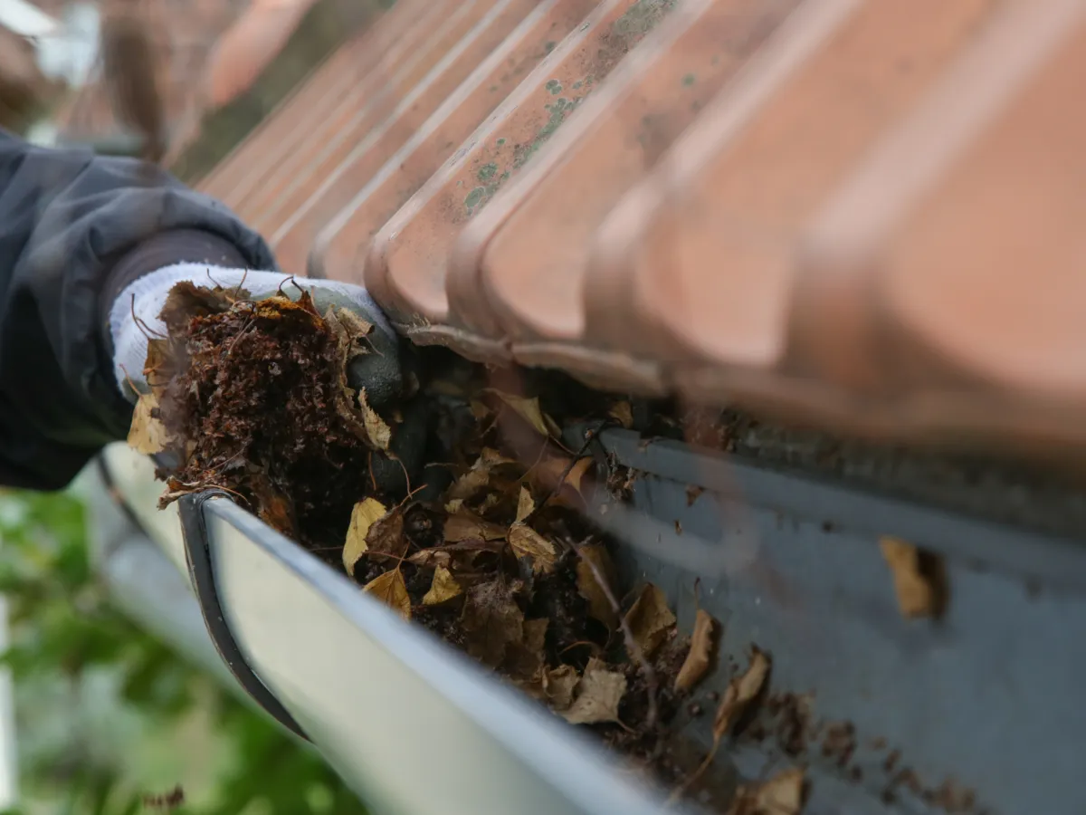 Gloved hand clearing leaves and dirt out of a gutter beneath a tiled roof