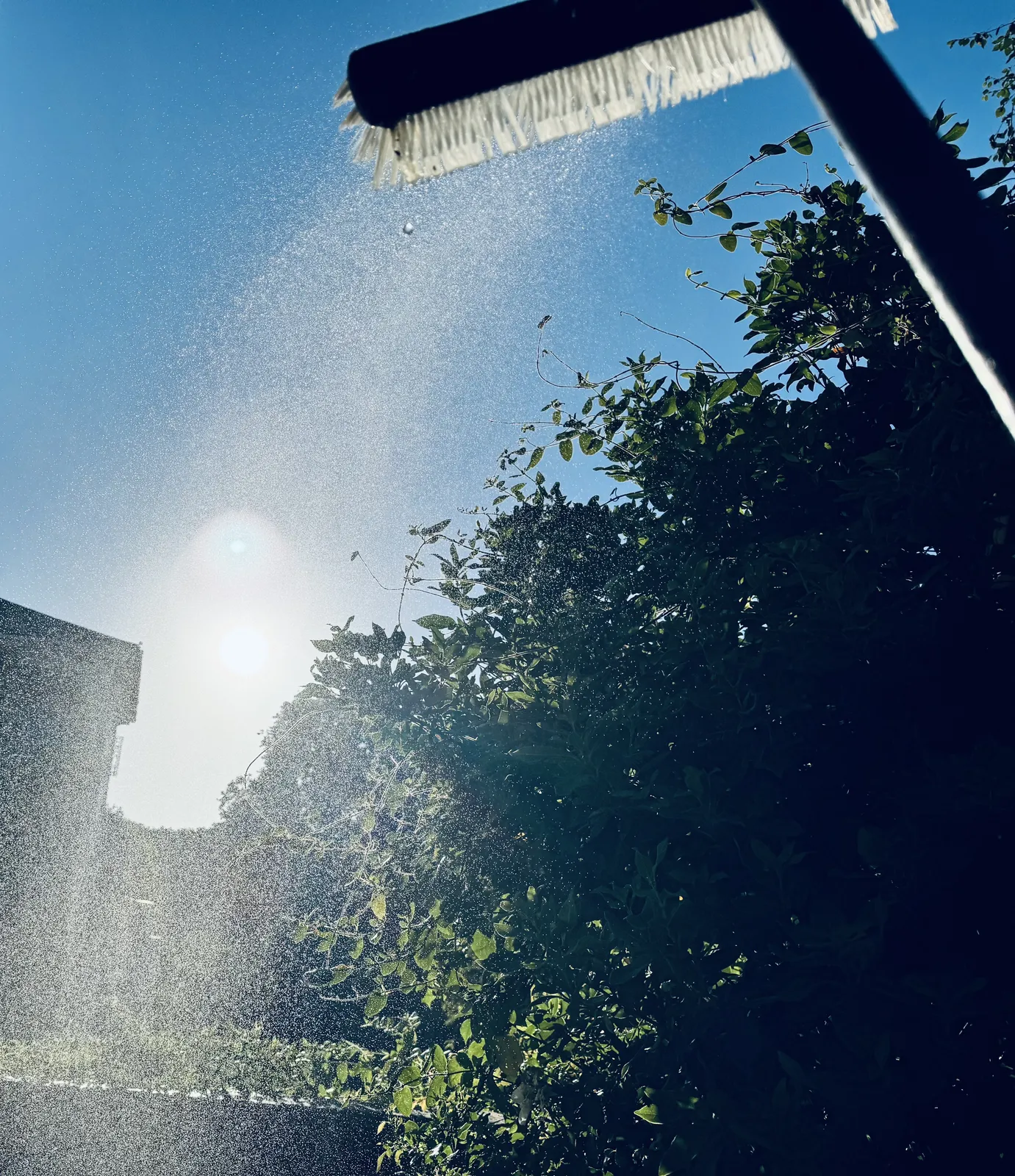 Water-fed pole brush rinsing a pane, sunlight coming through the wet glass