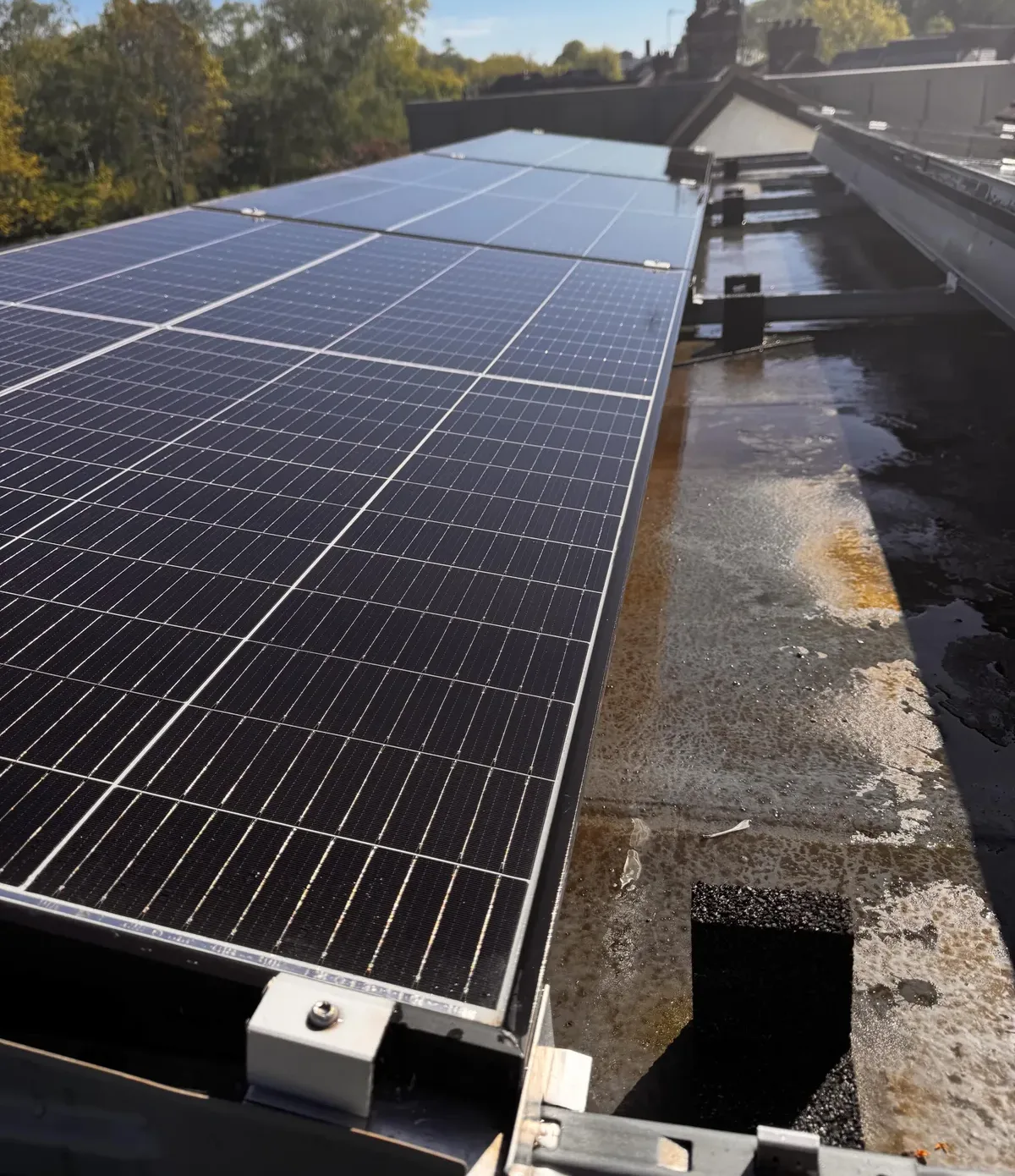 Freshly cleaned solar panels across a London flat roof